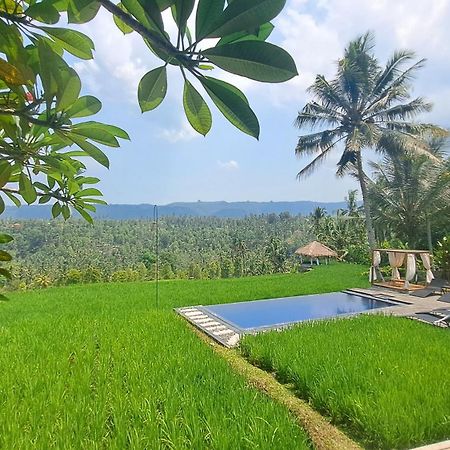 Bali De Pardis Cottage Munduk  Luaran gambar