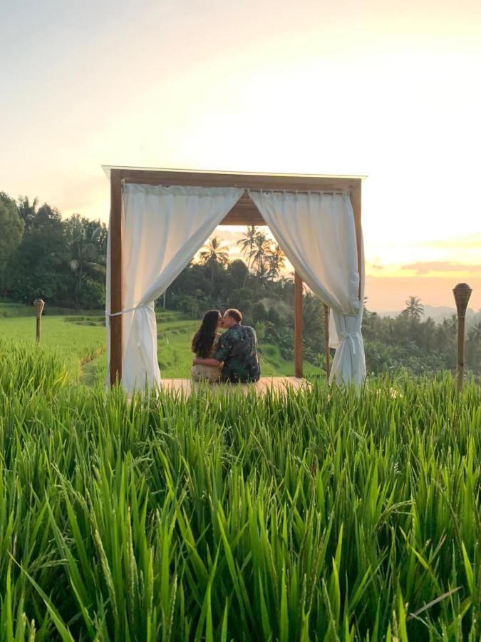 Bali De Pardis Cottage Munduk  Luaran gambar