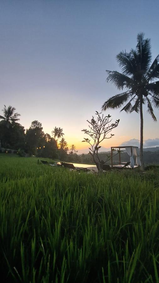 Bali De Pardis Cottage Munduk  Luaran gambar