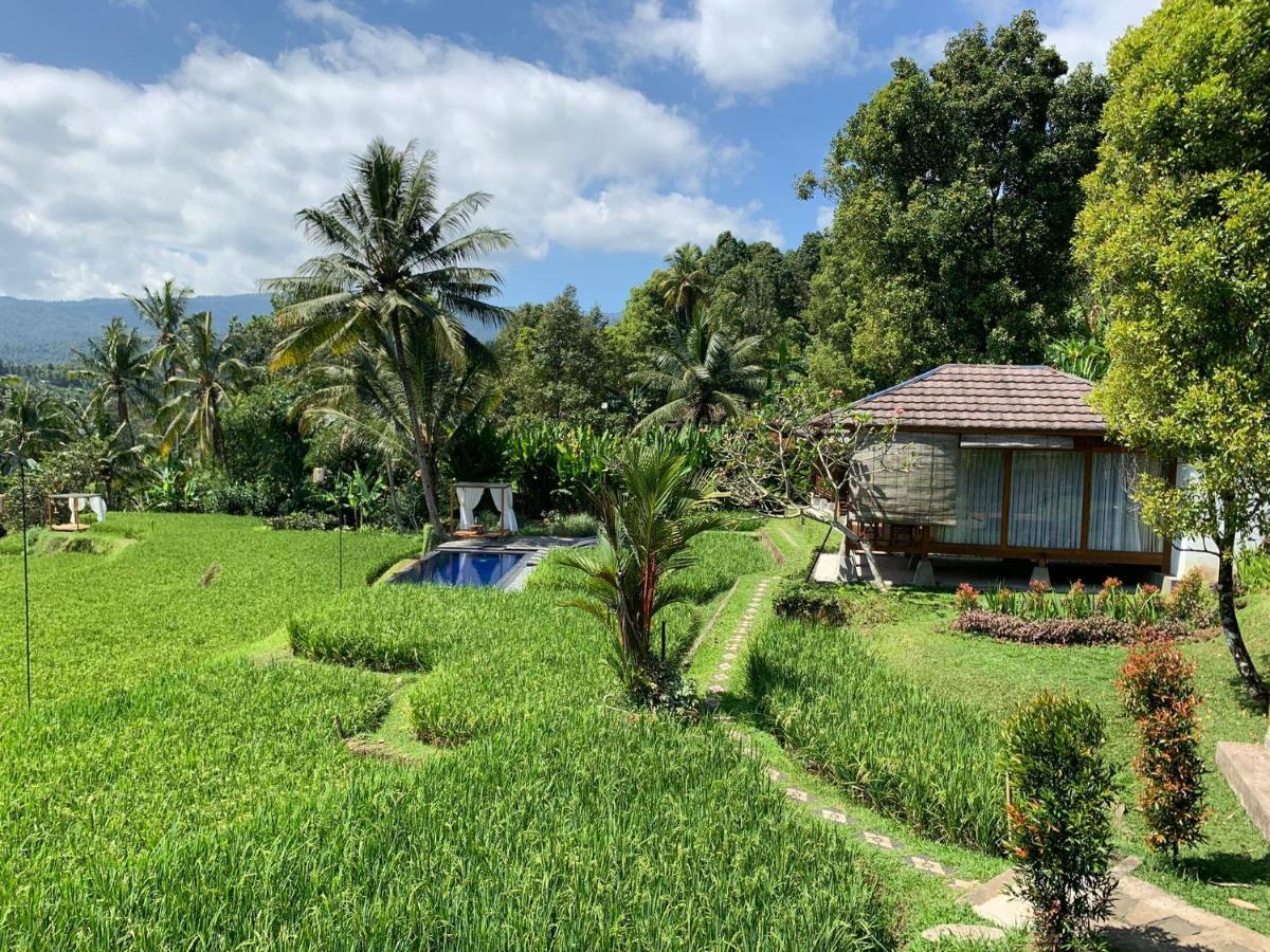 Bali De Pardis Cottage Munduk  Luaran gambar