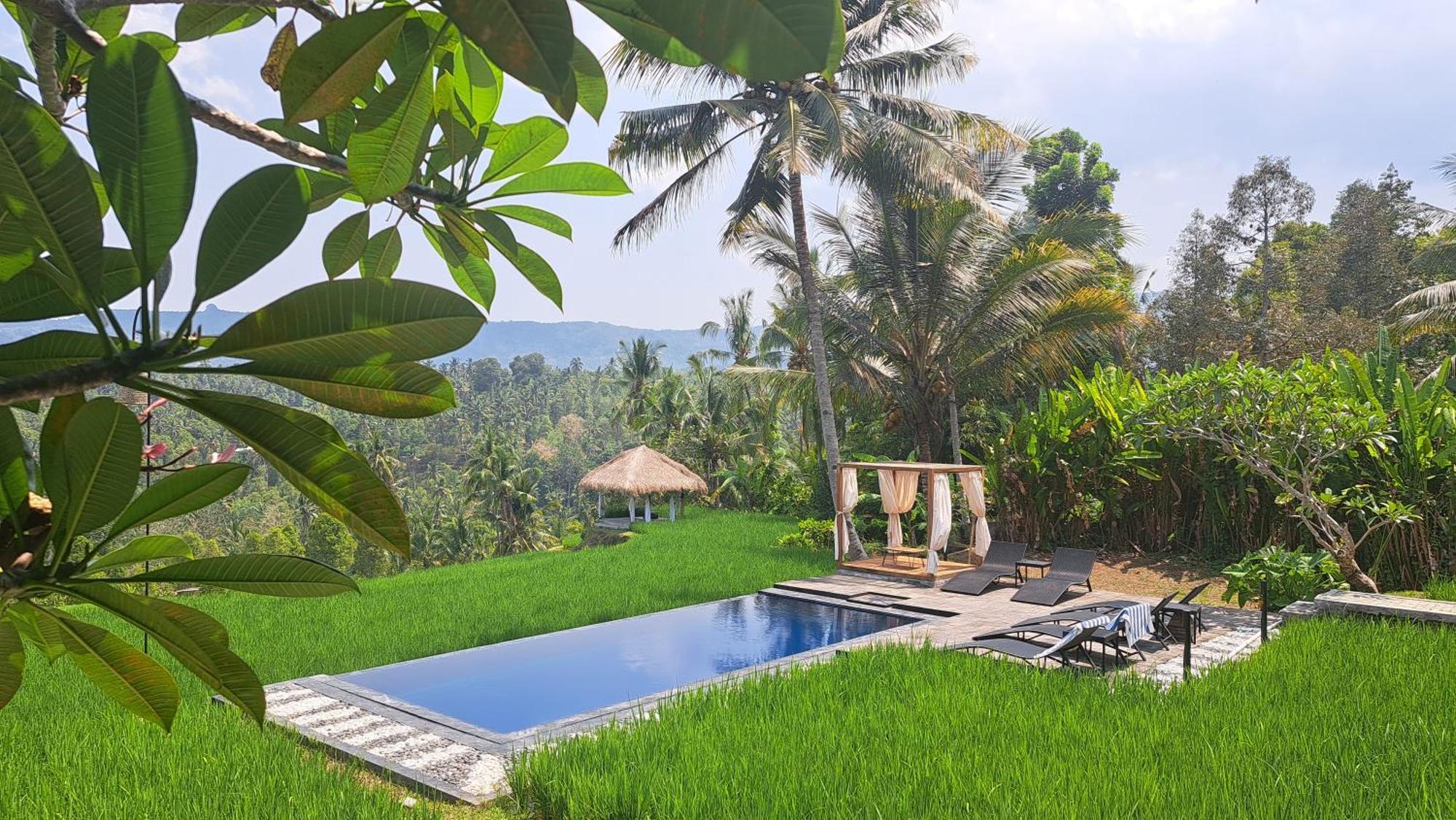 Bali De Pardis Cottage Munduk  Luaran gambar