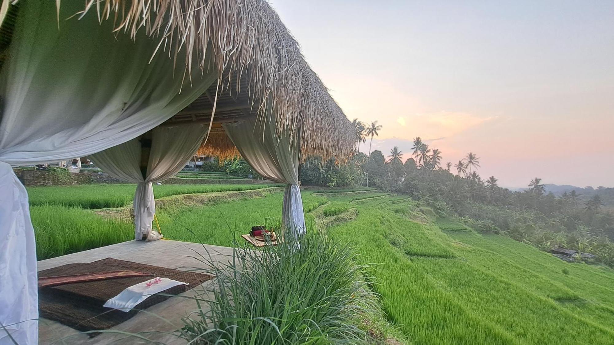 Bali De Pardis Cottage Munduk  Luaran gambar