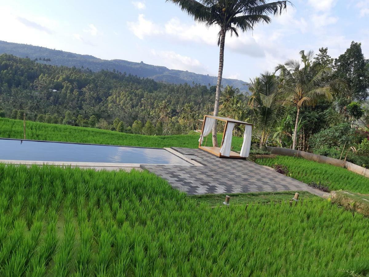 Bali De Pardis Cottage Munduk  Luaran gambar
