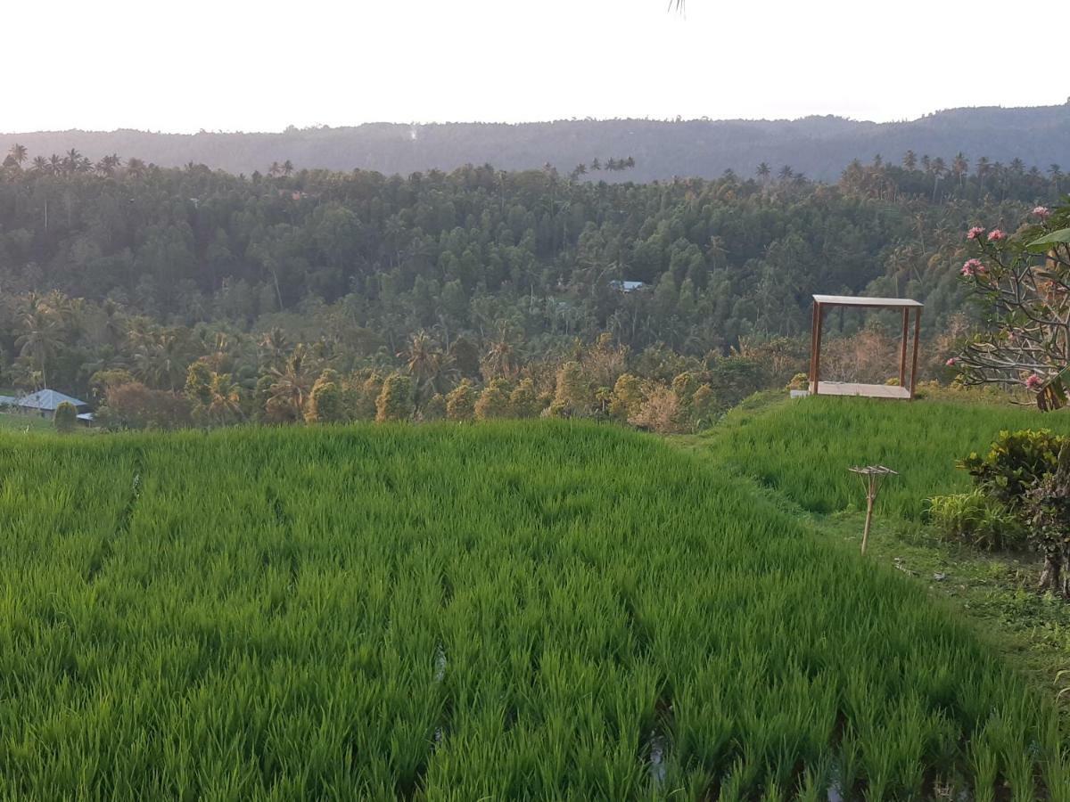 Bali De Pardis Cottage Munduk  Luaran gambar