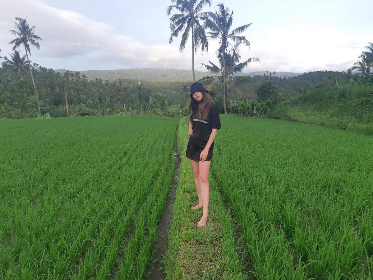 Bali De Pardis Cottage Munduk  Luaran gambar