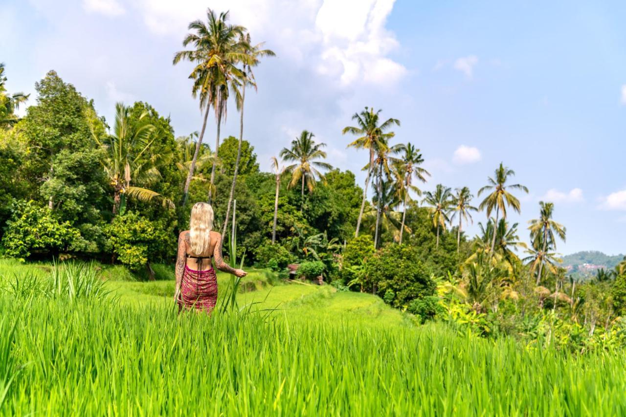 Bali De Pardis Cottage Munduk  Luaran gambar