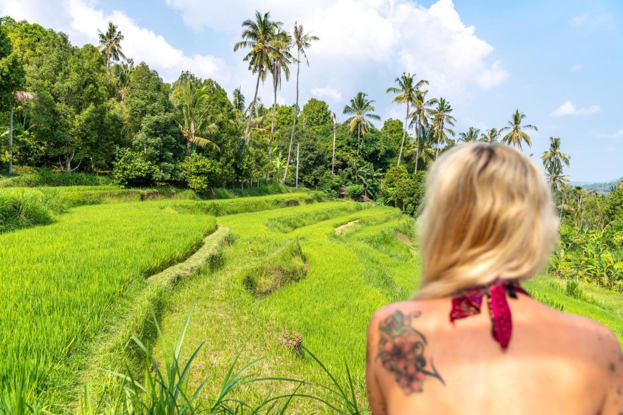 Bali De Pardis Cottage Munduk  Luaran gambar